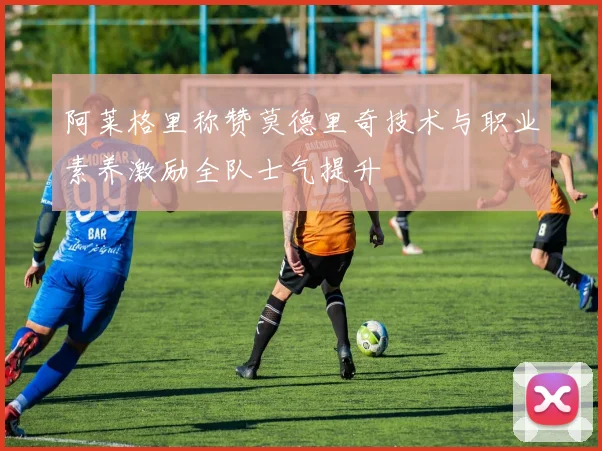 阿莱格里称赞莫德里奇技术与职业素养激励全队士气提升